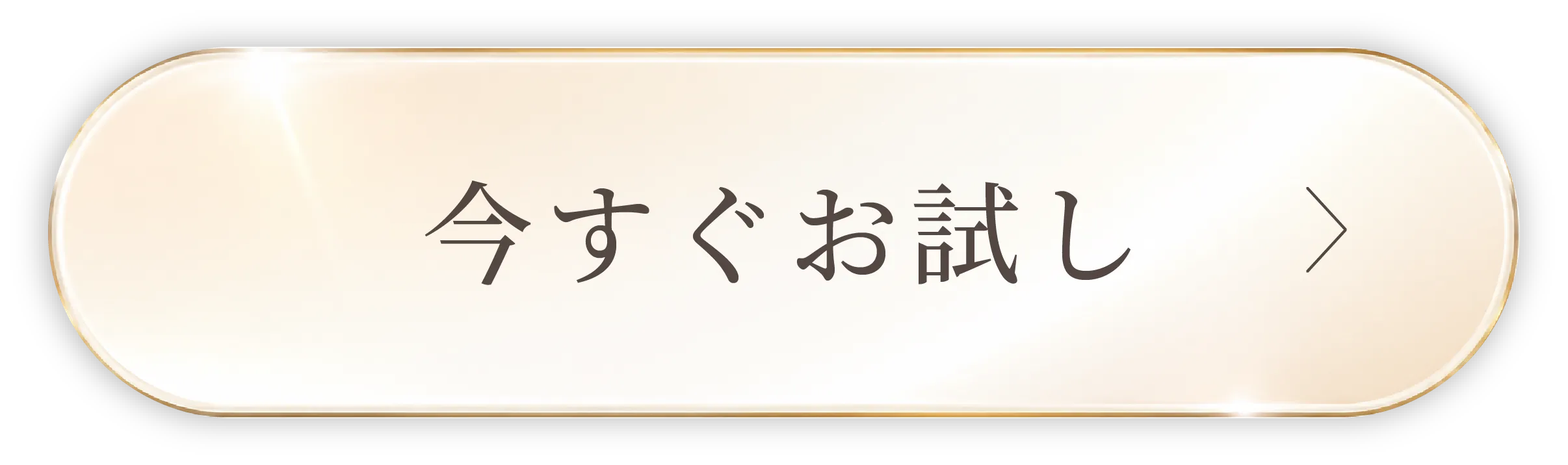 今すぐお試し