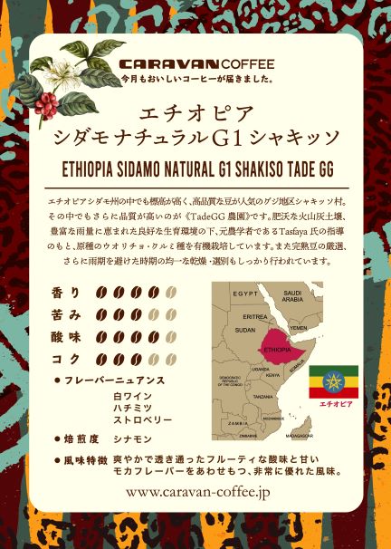 エチオピア シダモ ナチュラルG1 シャキッソ