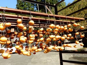 ���֤���