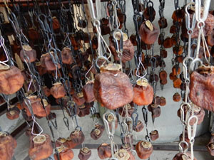 ���֤���