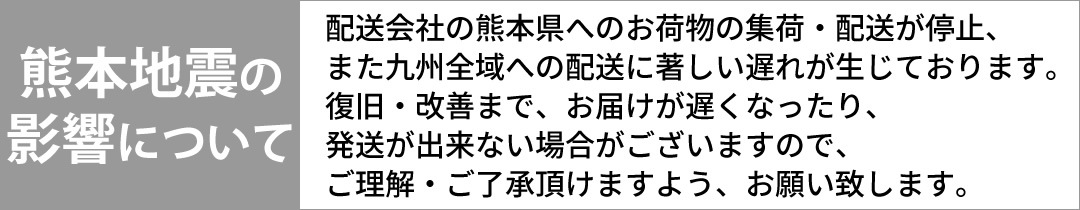 熊本地震の影響について
