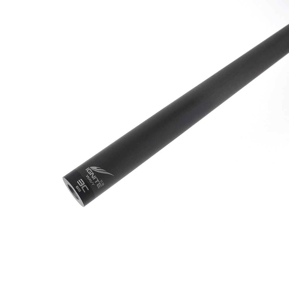 IGNITE ʥ 3C MS-IG3C/Wʥֲ