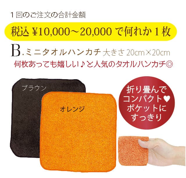 肌にやさしいグッズプレゼント 多機能ロングサポート