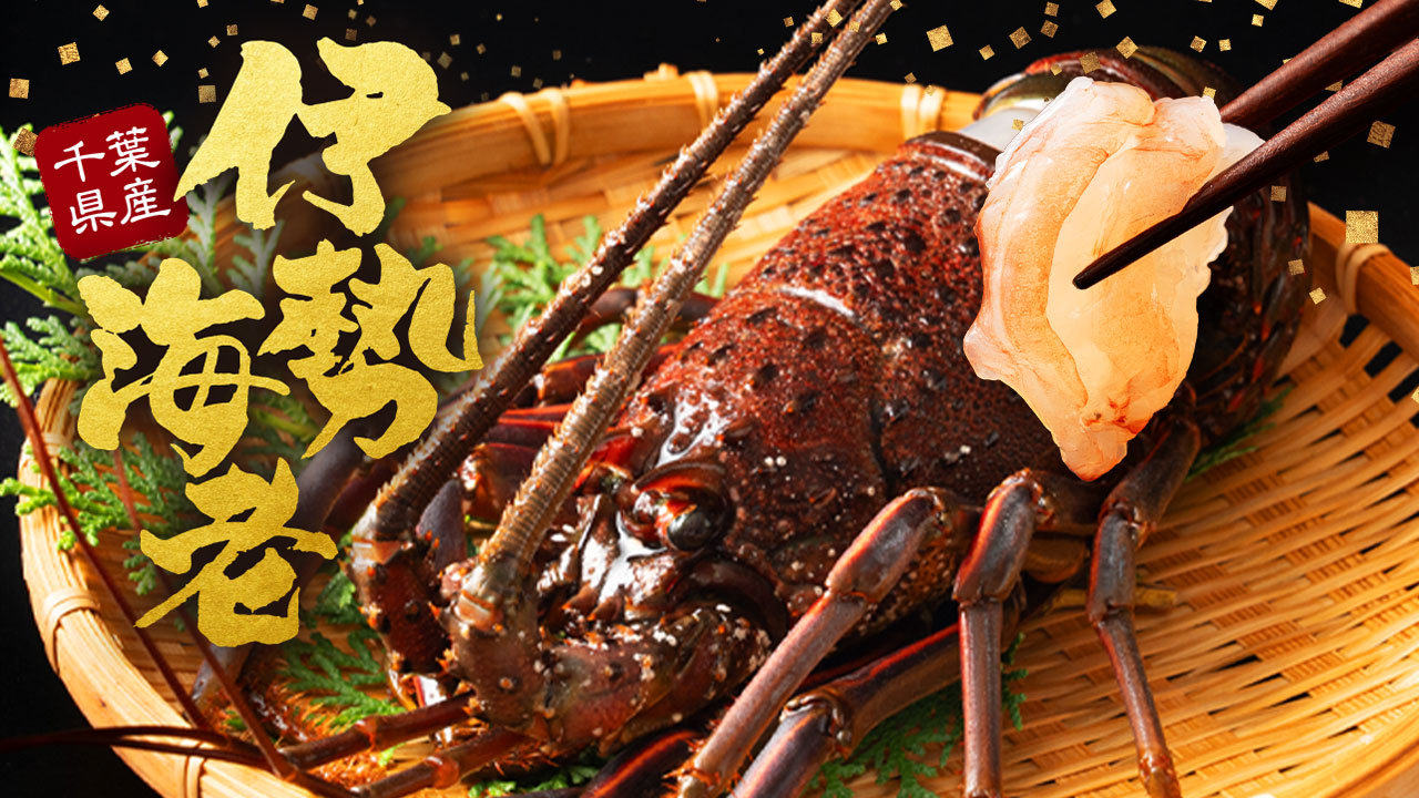 いせえび問屋】活〆生冷凍伊勢海老 大（1.2kg/3尾）