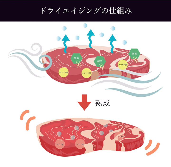 ドライエイジングの仕組み