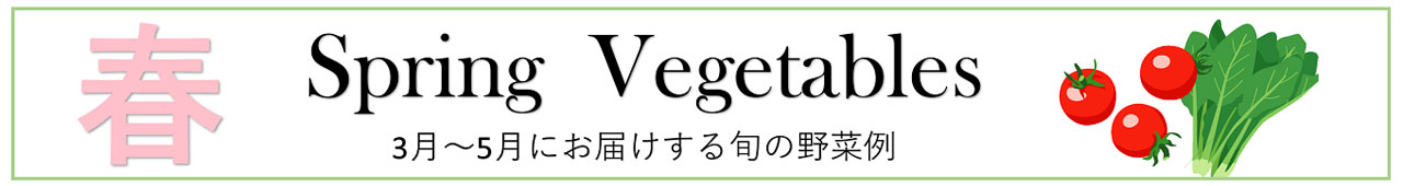 【春】3～5月にお届けする旬の野菜例