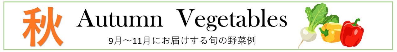 【秋】9～11月にお届けする旬の野菜例