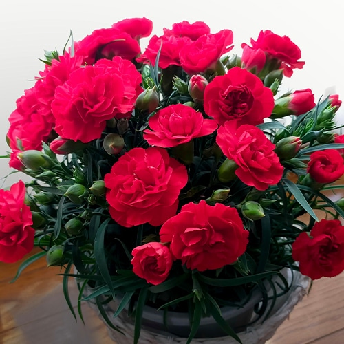 花