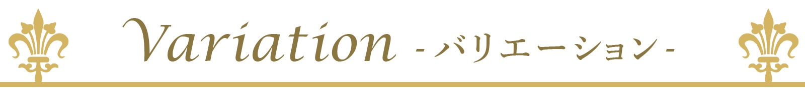 バリエーション帯の画像
