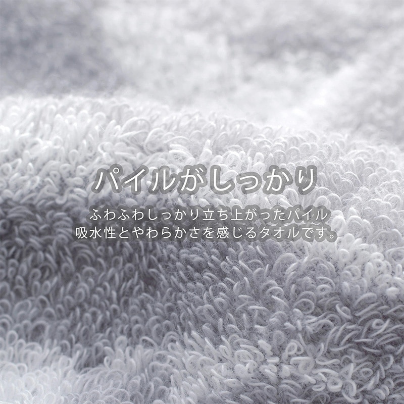 プランツ拡大画像