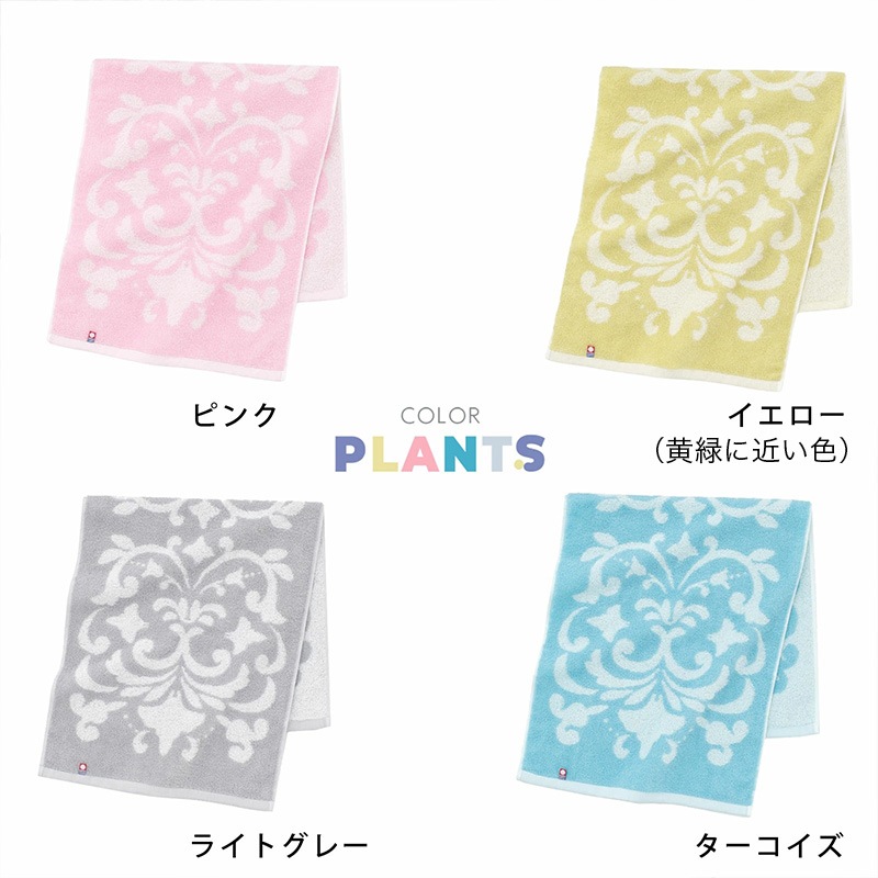 カラーバリエーションの画像