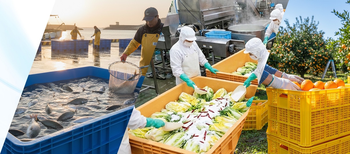 �緿����ƥ�150L�ʾ�_���ƥ���ڡ����إ��