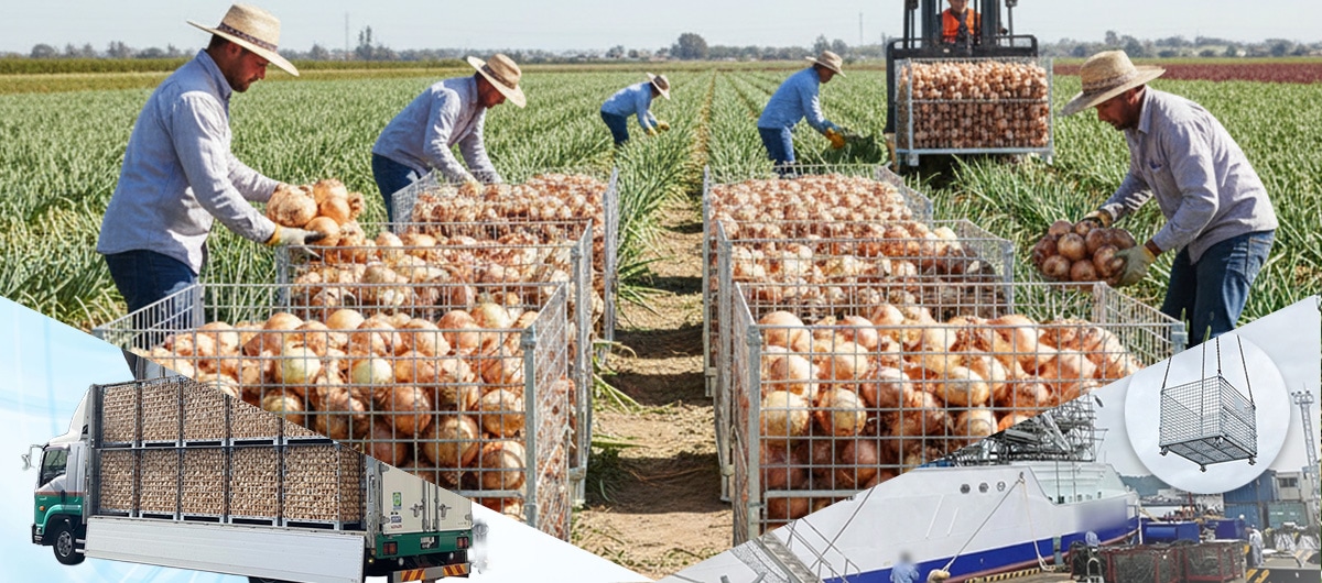 �ѥ�åȥܥå���_�ý��ڡ����إ��