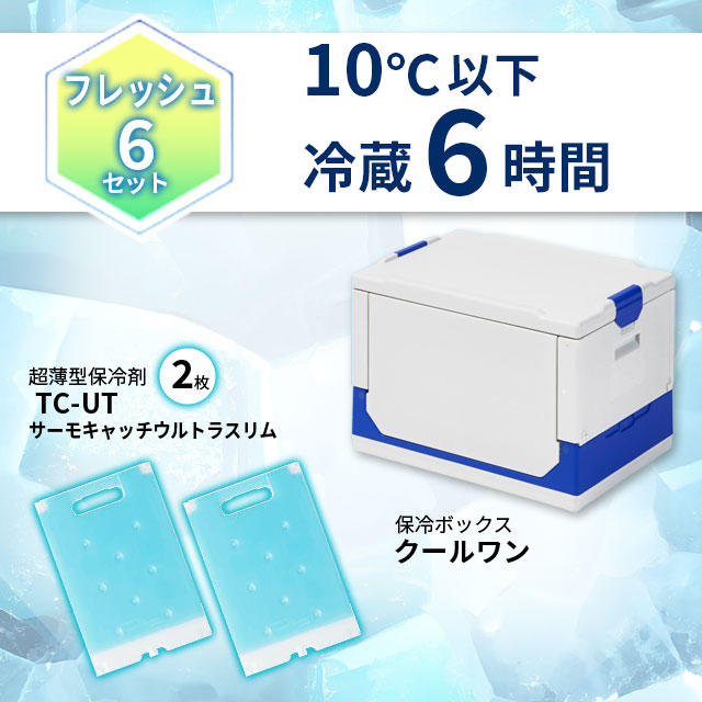 温活セット ワコン クールワン折りたたみ保冷ボックス 冷蔵保冷剤2枚付セット
