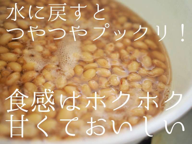 大豆 1kg 令和3年産 国産 フクユタカ ふくゆたか 熊本県産 メール便送料無料 中山大吉商店 | 豆,熊本県産大豆 | 中山大吉商店公式通販サイト