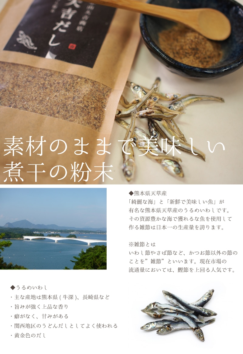 煮干し粉 煮干し 粉末 無添加 100g x1袋入り 熊本県 天草産 中山大吉