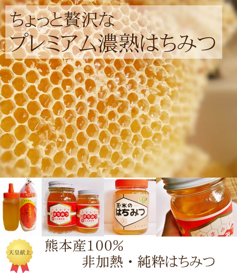 20kg 完熟 生蜂蜜　国産蜂蜜 純粋蜂蜜 無添加　非加熱　一斗缶　新品　新蜜