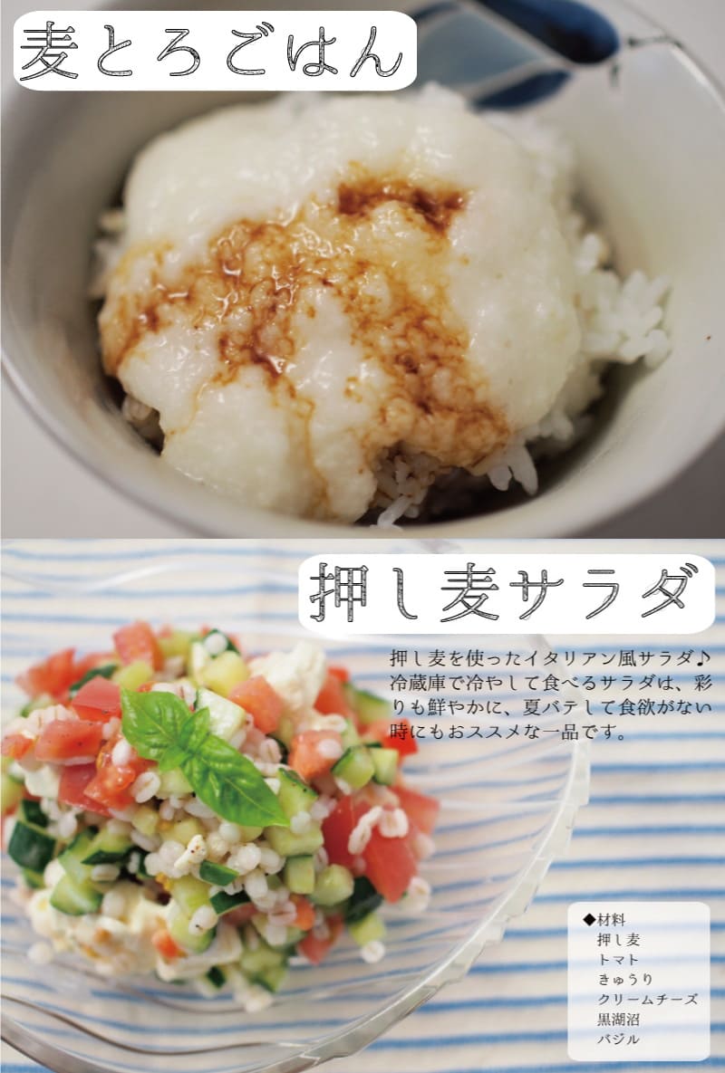 押し麦 国産 送料無料 1kg 佐賀県産 | 大麦,押麦 | 中山大吉商店公式通販サイト