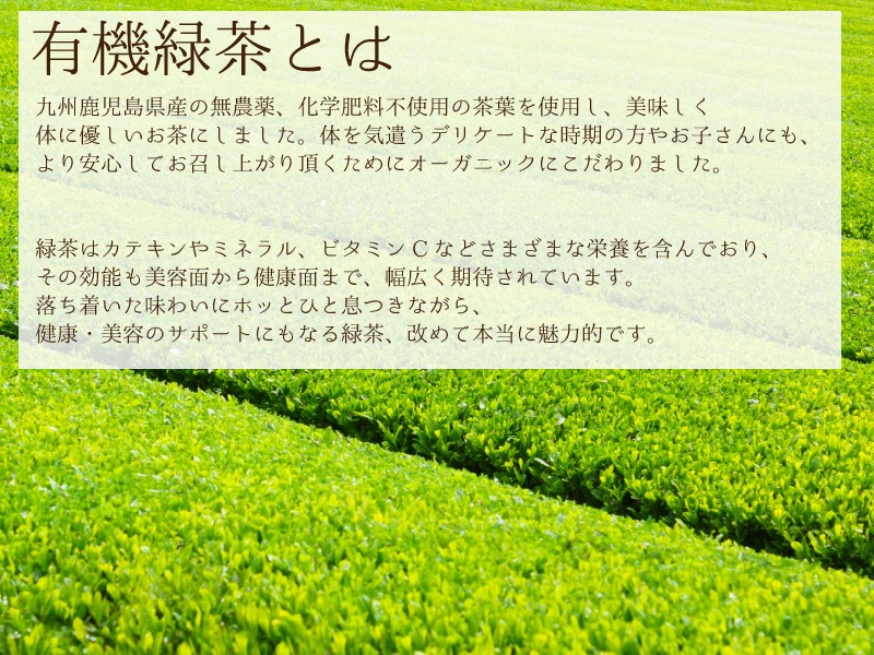 水出し有機緑茶 ティーバッグ 80包入り 有機 オーガニック 国産 大吉茶 メール便送料無料 中山大吉商店 | 健康茶 | 中山大吉商店公式通販サイト