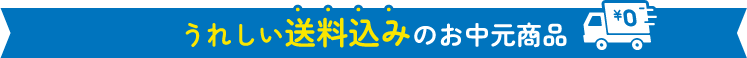 うれしい送料込みのお中元商品
