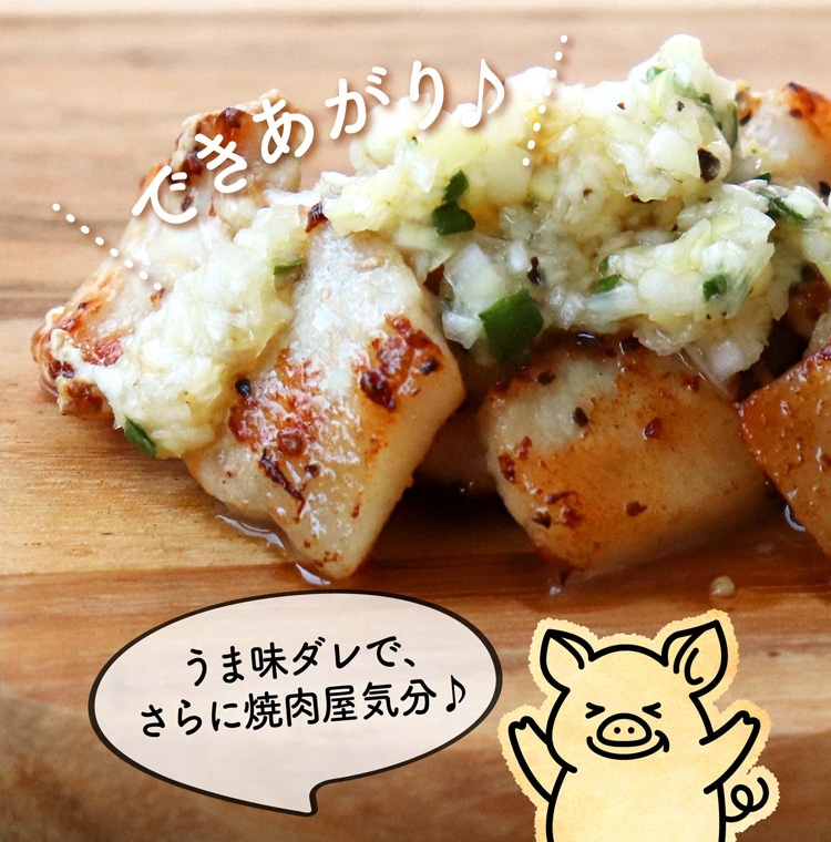 �ڥȥ� �ݱ���