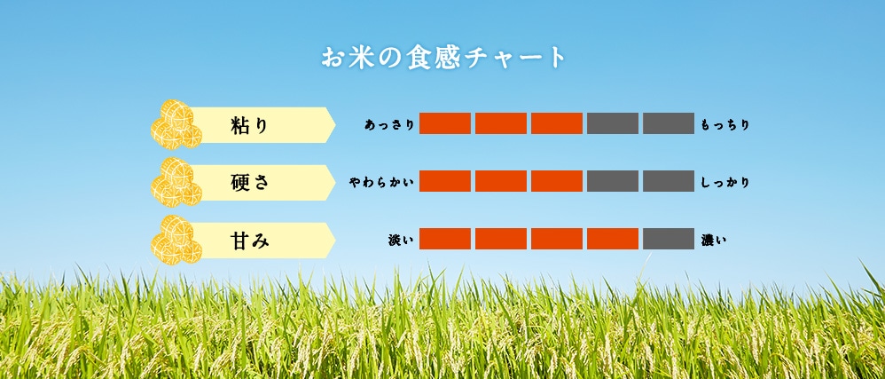 お米の食感チャート