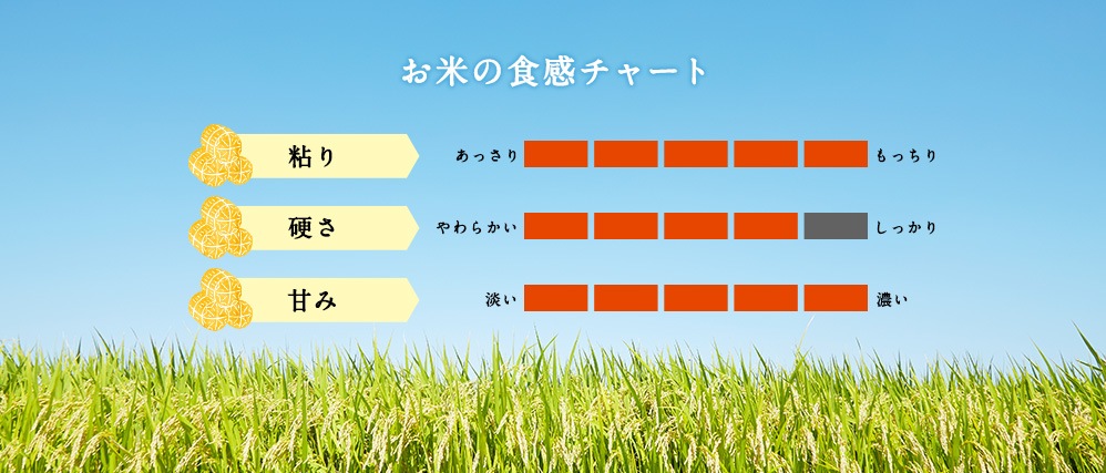 お米の食感チャート