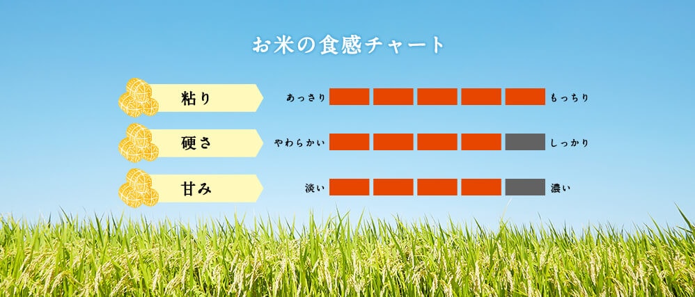お米の食感チャート