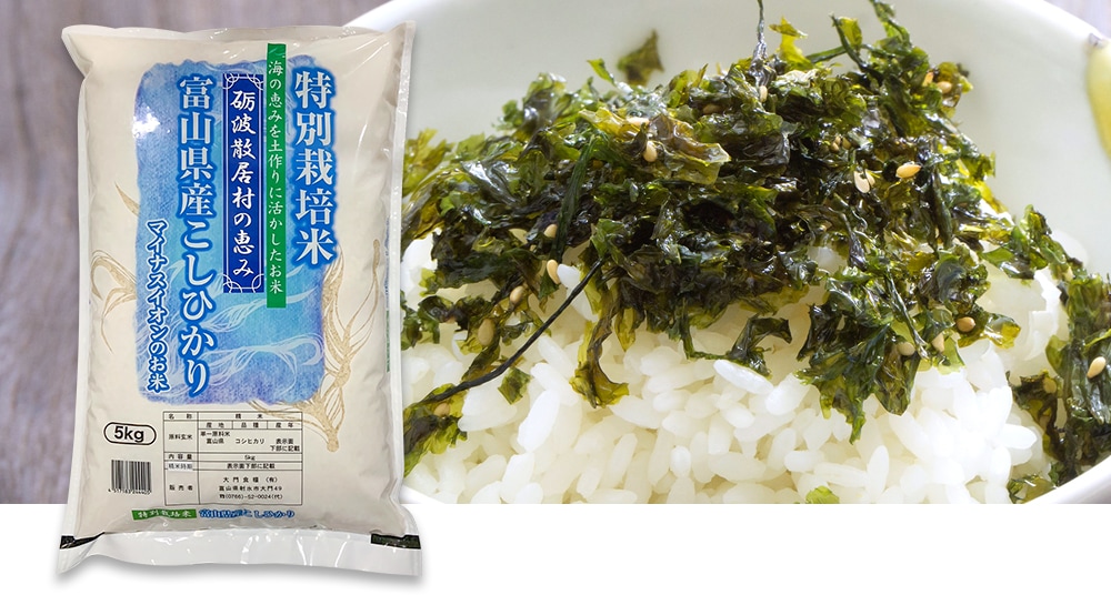 コシヒカリ