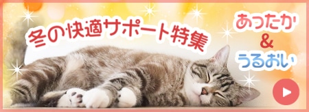 あったか＆うるおい冬の快適サポート特集