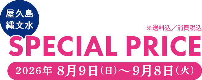SPECIAL PRICE
