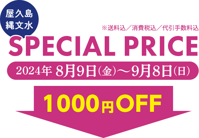 SPECIAL PRICE