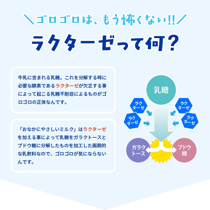 ���������Ϥ⤦�ݤ��ʤ������饯�������Ʋ���