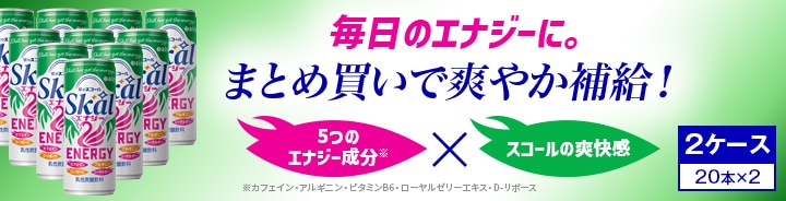 �������륨�ʥ���2������