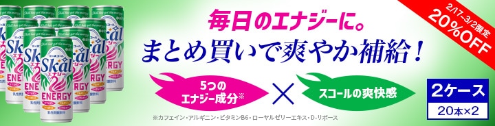 �������륨�ʥ���2������