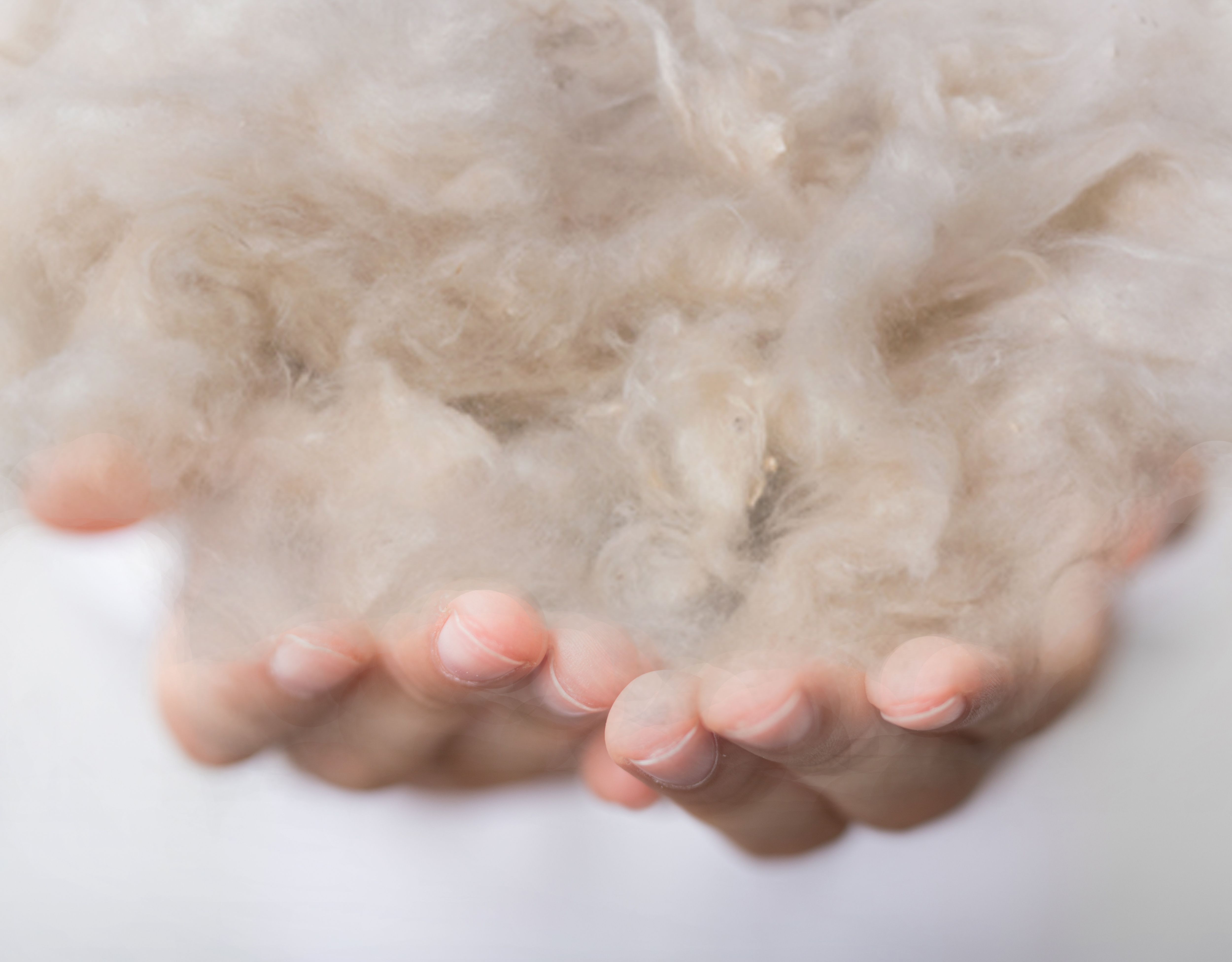 石*隆様 ほぼ未使用　坐禅座布団　（大判座布団72ｘ78cm+半座布団55ｘ30 座布団 錦 IKEHIKO 座布団 55×59cm ベージュ | ホームセンター