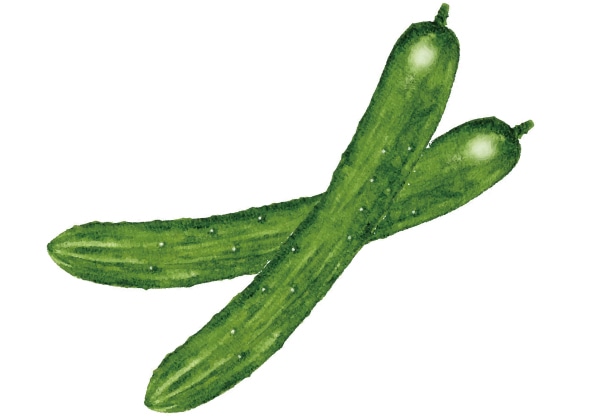 胡瓜