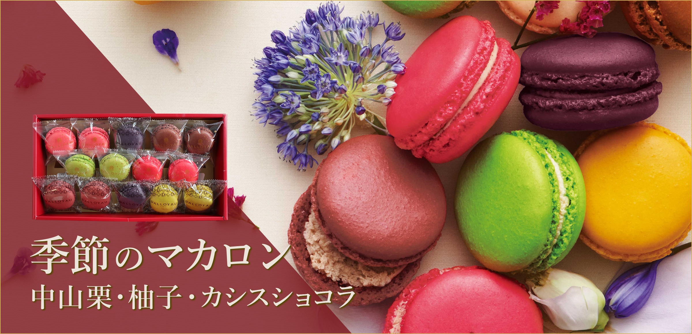 季節のマカロン新フレーバー
