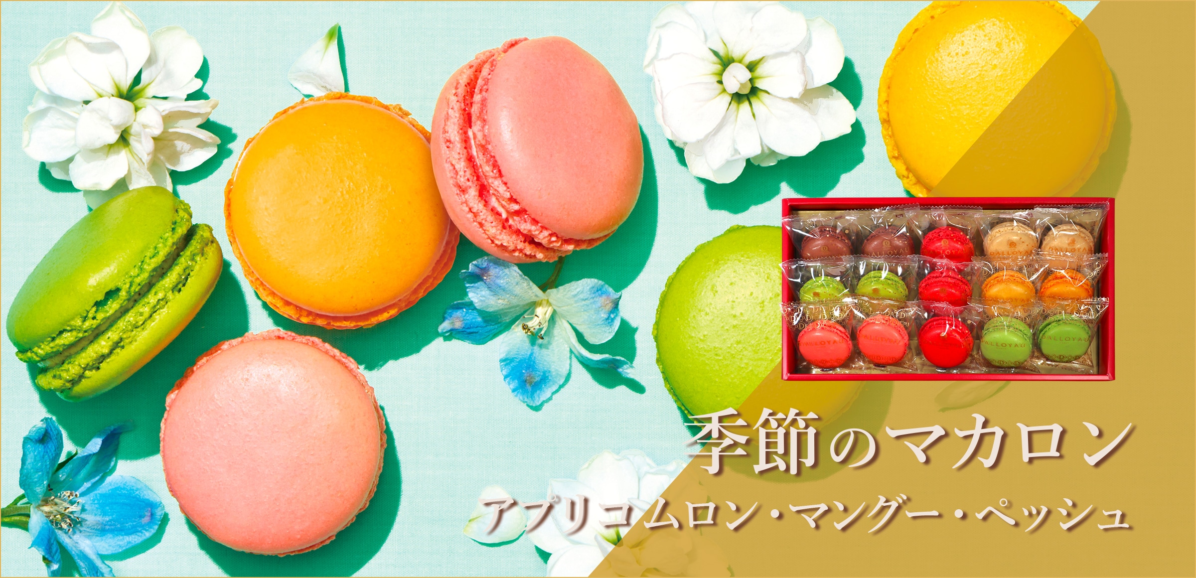 季節のマカロン新フレーバー