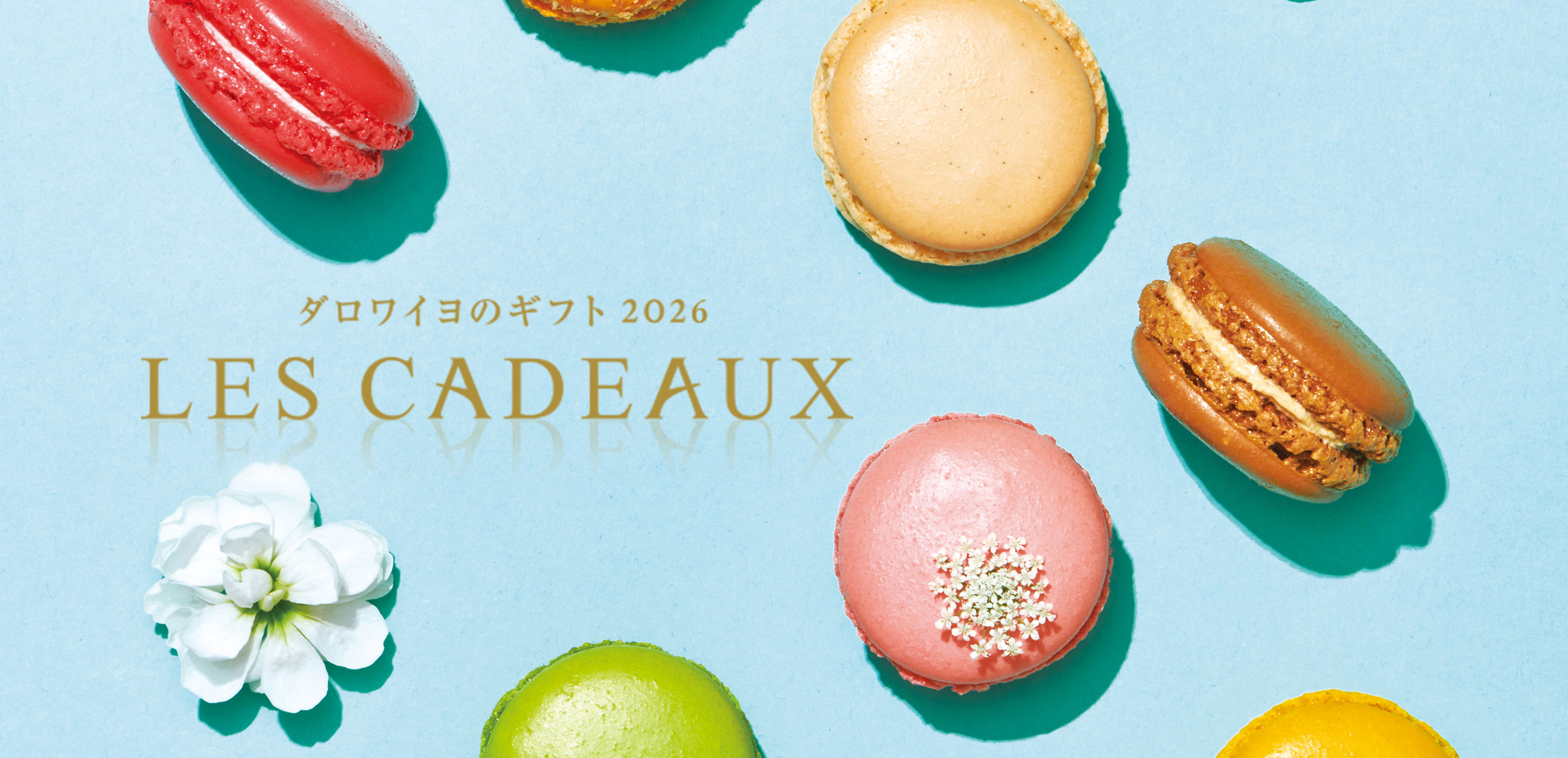 マカロン・ギフトのダロワイヨ公式オンラインショップ