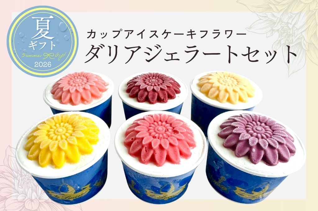 ダリア6個セット