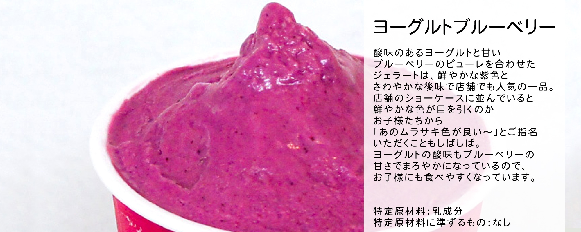 ヨーグルトブルーベリーのジェラート商品画像