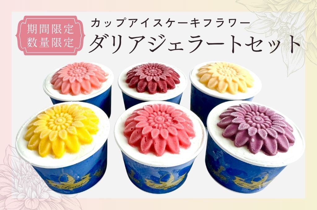 ダリア6個セット