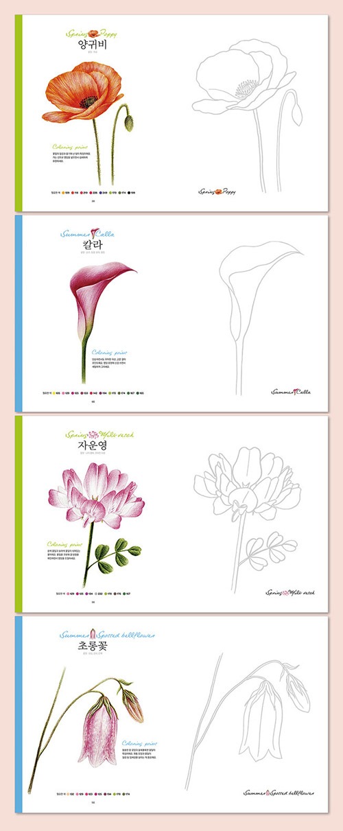 (大人のぬりえ)　韓国版本　（小説、漫画),カラーリングブック　カラーリングブック」　韓国書籍　「四季の花　人生が香り立つ花の絵、脳が健康になるカラーリング　韓流ショップ
