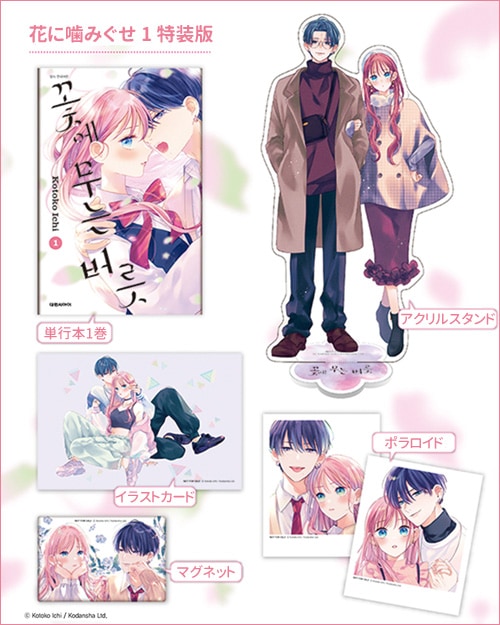 韓国語版）日本マンガ 花に噛みぐせ 1 特装版 / 壱コトコ | 韓国版本