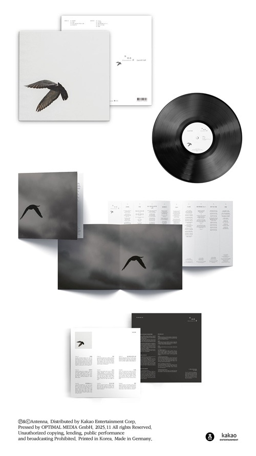 韓国音楽 Lucid Fall (ルシッド・フォール) - 11集 「他の所」 LP