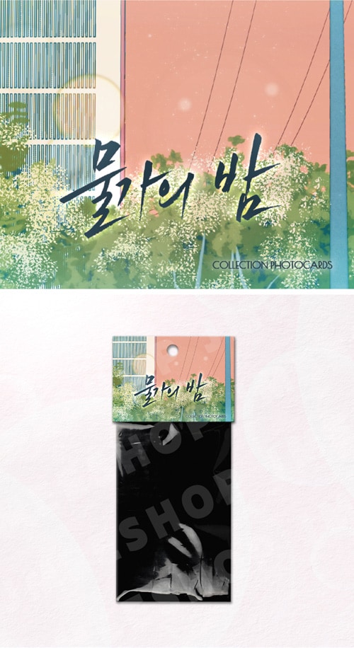 韓国BL 水辺の夜 ポップアップ コレクションフォトカード ver.2 韓国BL 水辺の夜 ポップアップ コレクションフォトカード ver.2