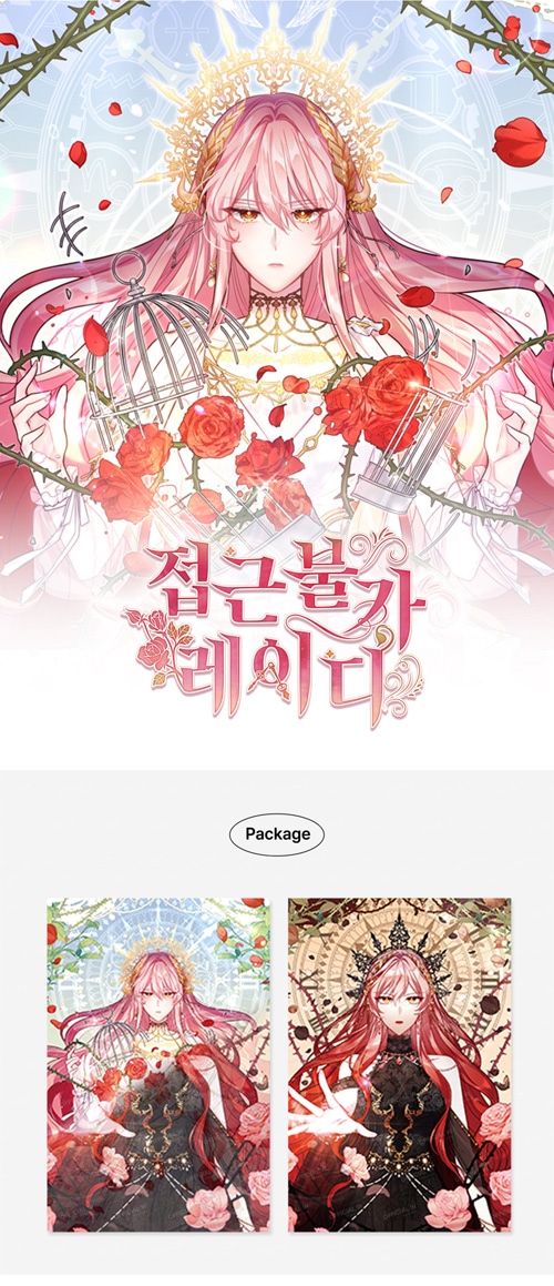 先払いのみ）韓国キャラクターグッズ 「接近不可レディー」 公式グッズ