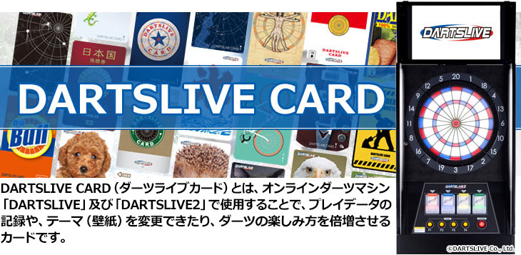 成績保存だけでなくテーマ等のプレイ環境を自分好みにすればモチベーションup Dartslive Card