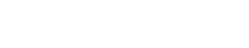 年間ランキング